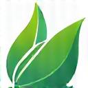 Green leaf on a globe, symbolizing carbon neutrality.